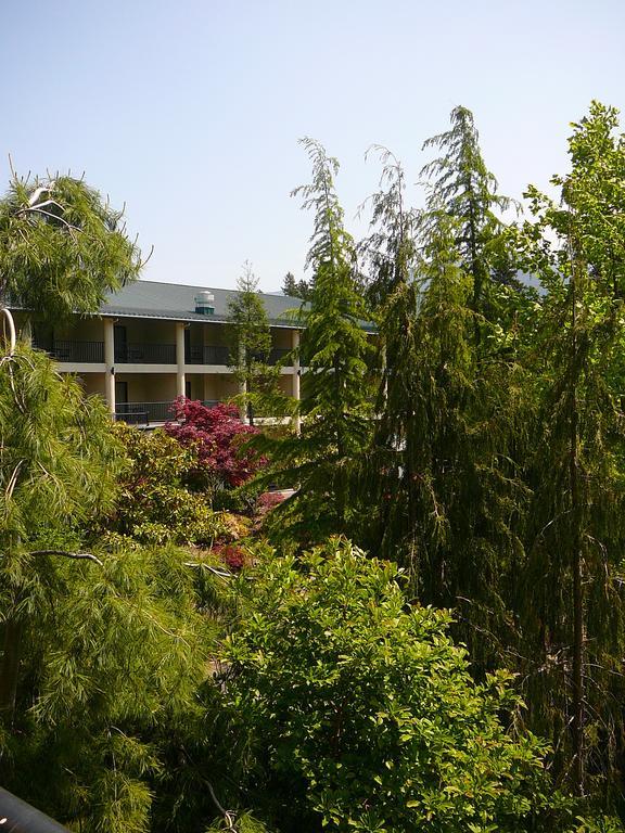 Bonneville Hot Springs & Hotel 3*