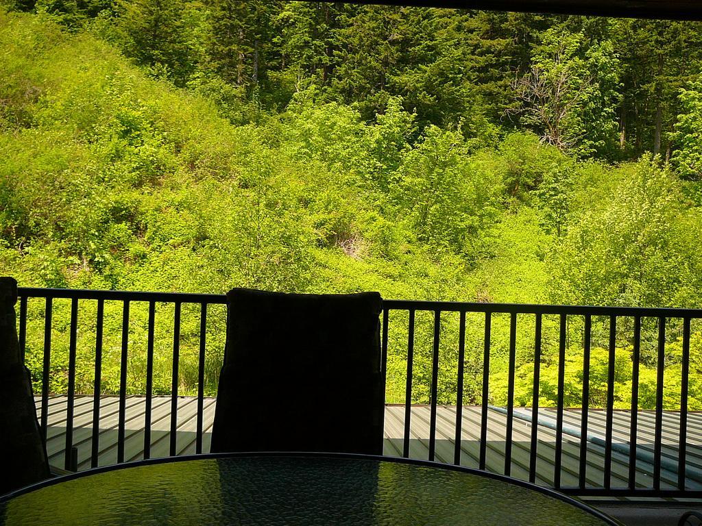 Bonneville Hot Springs & Hotel 3*